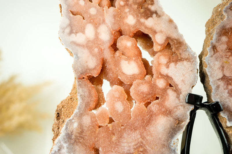Rosa Amethyst Flügel, AAA Rosa Schmetterlingsflügel Geode mit Galaxy Amethyst Druzy