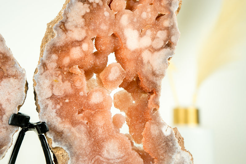 Rosa Amethyst Flügel, AAA Rosa Schmetterlingsflügel Geode mit Galaxy Amethyst Druzy