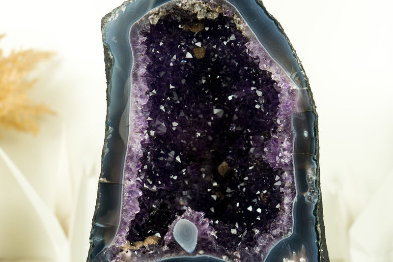 Dunkelviolette Amethyst-Geode mit Spitzenachat und AAA-Traubengelee-Amethyst-Druzy
