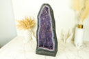 Lace Agate Geode Cathedral with Lavender Galaxy Amethyst and Flower Rosette