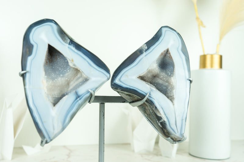 Wunderschöne Schmetterling blaue Spitze Achat Geode mit Amethyst Galaxy Druzy