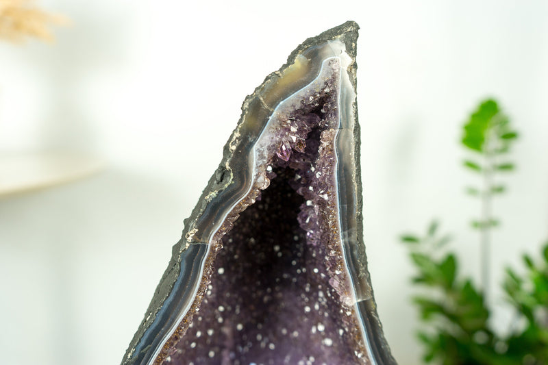 Seltene große Amethyst-Geodenkathedrale auf gebändertem Achat, mit violettem Galaxie-Amethyst und Kronenformationen