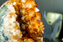 Rare AAA Citrine Flower Crystal Cluster, Self Standing with Deep Orange and Perfect Druzy