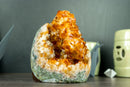 Rare AAA Citrine Flower Crystal Cluster, Self Standing with Deep Orange and Perfect Druzy
