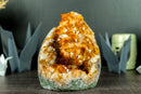 Rare AAA Citrine Flower Crystal Cluster, Self Standing with Deep Orange and Perfect Druzy