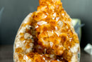 Rare AAA Citrine Flower Crystal Cluster, Self Standing with Deep Orange and Perfect Druzy