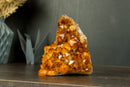 AAA Citrine Crystal Cluster with Orange Madeira Citrine Flower Druzy