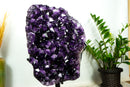 X-Large Rich Purple Amethyst Geode Cluster, AAA, Grape Jelly Amethyst, Tall & Ethically Sourced