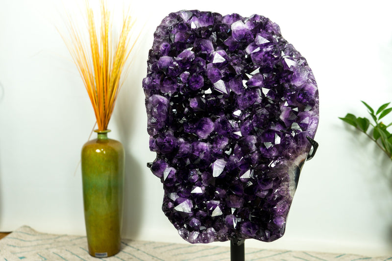 XL-Cluster aus sattem violettem Amethyst-Geoden, AAA, Traubengelee-Amethyst, hoch und aus ethischer Gewinnung