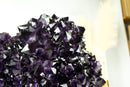 World-Class X-Large Amethyst Geode Flower on 360º Stand with Large AAA Dark Purple Amethyst Druzy