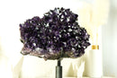 World-Class X-Large Amethyst Geode Flower on 360º Stand with Large AAA Dark Purple Amethyst Druzy