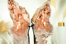 Pink Amethyst Wings, AAA Pink Butterfly Wing Geode with Galaxy Amethyst Druzy