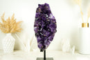 Hoher Amethyst-Cluster mit großem violetten Amethyst-Drusenstein (AAA) und goldenem Goethit