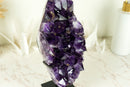 Hoher Amethyst-Cluster mit großem violetten Amethyst-Drusenstein (AAA) und goldenem Goethit