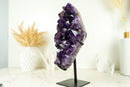 Hoher Amethyst-Cluster mit großem violetten Amethyst-Drusenstein (AAA) und goldenem Goethit