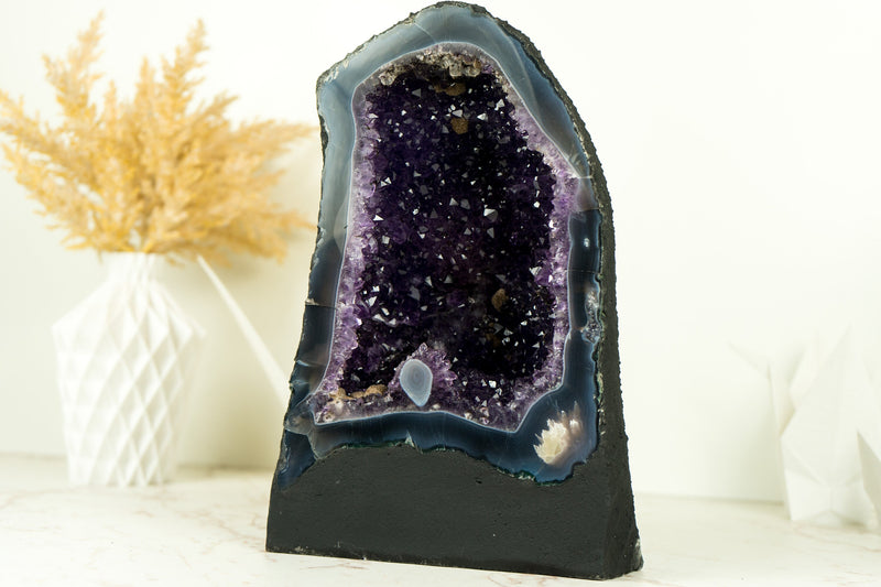Dunkelviolette Amethyst-Geode mit Spitzenachat und AAA-Traubengelee-Amethyst-Druzy