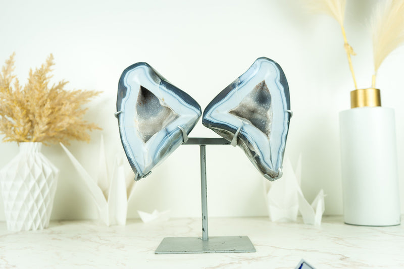 Wunderschöne Schmetterling blaue Spitze Achat Geode mit Amethyst Galaxy Druzy