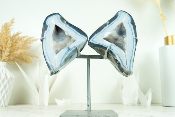 Wunderschöne Schmetterling blaue Spitze Achat Geode mit Amethyst Galaxy Druzy