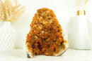 Rare Deep Orange Citrine with Stalactite Flowers and Orange Madeira Galaxy Druzy - 3.8 Kg - 8.4 lb - E2D Crystals & Minerals