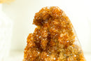 Gorgeous Citrine Cluster with Rare Stalactite Flowers and Deep Orange Galaxy Druzy