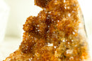Gorgeous Citrine Cluster with Rare Stalactite Flowers and Deep Orange Galaxy Druzy