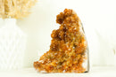 Gorgeous Citrine Cluster with Rare Stalactite Flowers and Deep Orange Galaxy Druzy