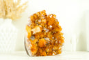 AAA Citrine Crystal Cluster with Large Shiny Orange Citrine Druzy, Self Standing - 1.7 Kg - 3.8 lb - E2D Crystals & Minerals
