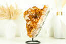 Gorgeous Natural Orange Citrine Flower Cluster with Citrine Crystal Druzy and Calcite, 10.5 In 7.5 Lb - E2D Crystals & Minerals