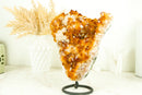 Gorgeous Natural Orange Citrine Flower Cluster with Citrine Crystal Druzy and Calcite, 10.5 In 7.5 Lb - E2D Crystals & Minerals