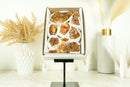 Wholesale Super Extra Quality Small Deep Orange Citrine Clusters Flat Box - Mineral Flat, Wholesale Bulk - 9 Clusters