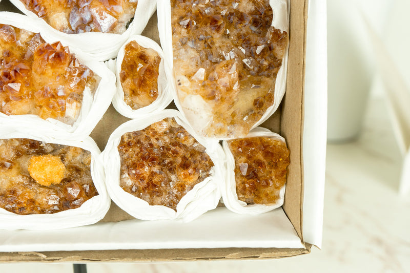 Wholesale Super Extra Quality Small Deep Orange Citrine Clusters Flat Box - Mineral Flat, Wholesale Bulk - 9 Clusters