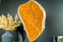 Majestic Tall Orange Citrine Cluster with Orange Galaxy Citrine Druzy on Stand - 18 In, 10 Lb - E2D Crystals & Minerals