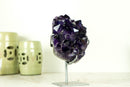 Small AAA Grade Amethyst Cluster with Large, Dark Purple Druzy Points, Natural