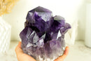 Natural Grape Jelly Purple Amethyst Cluster with Large Druzy