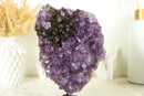 Rare Amethyst Cluster with Black Sugar Coated Druzy and Deep Purple Amethyst, Natural & Ethical 3.1 Kg - 6.8 lb - E2D Crystals & Minerals