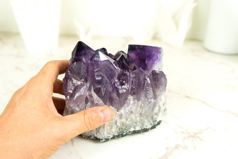 Amethyst-Cluster mit extragroßem lila Drusenmuster in Traubengelee, intakt, freistehend