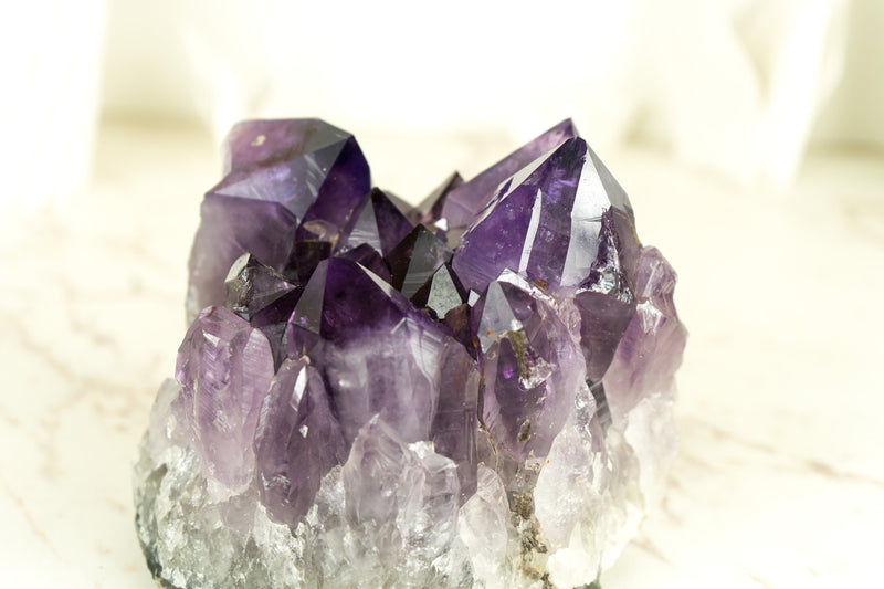 Amethyst-Cluster mit extragroßem lila Drusenmuster in Traubengelee, intakt, freistehend