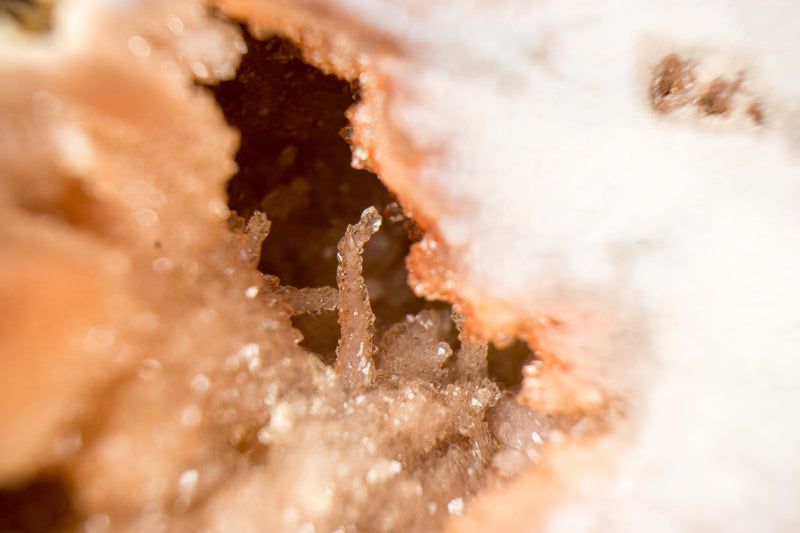 AAA Pink Amethyst Geode Butterfly, Pink Amethyst Slice Butterfly Wings, Natural and Ethical