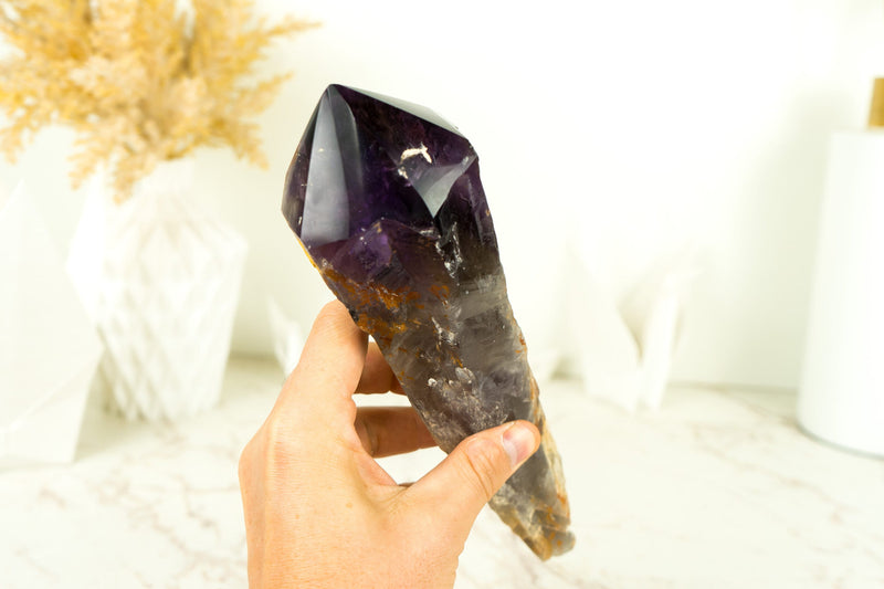 Natural Dragon Tooth Amethyst with Deep Purple Grape Jelly - XL Bahia Amethyst Wand