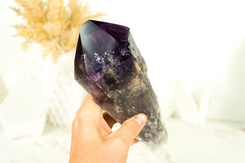 X-Large AAA Bahia Amethyst Scepter with Deep and Dark Purple Natural Bahia Amethyst