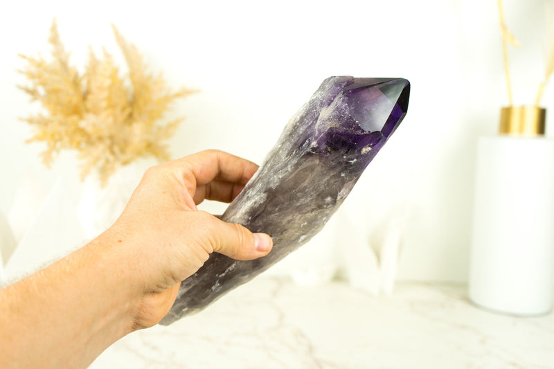 X-Large Deep Purple Amethyst Scepter, 11 In, Raw and Natural AAA Bahia Amethyst