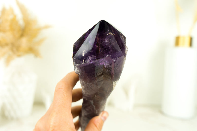 Dragon Tooth Amethyst, Raw and Natural Bahia Amethyst Scepter, Deep Purple, XL