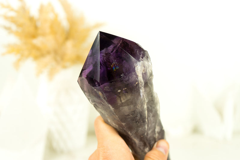 X-Large Bahia Amethyst Scepter, Deep and Dark Purple AAA, Raw and Natural Bahia Amethyst with Phantom Inclusions