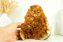 Rare Deep Orange Citrine with Stalactite Flowers and Orange Madeira Galaxy Druzy - 3.8 Kg - 8.4 lb - E2D Crystals & Minerals
