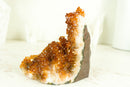 Rare Small Citrine Cluster with Stalactite Flowers and Deep Orange Galaxy Druzy