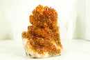 Rare Small Citrine Cluster with Stalactite Flowers and Deep Orange Galaxy Druzy