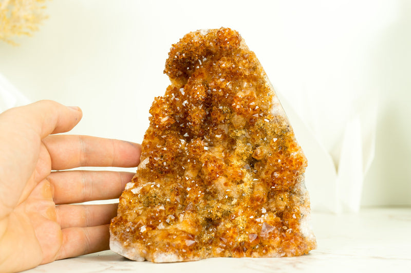Wunderschöner Citrin-Cluster mit seltenen Stalaktitenblüten und tieforangefarbenem Galaxy Druzy