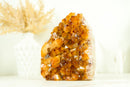 AAA Citrine Crystal Cluster with Large Shiny Orange Citrine Druzy, Self Standing - 1.7 Kg - 3.8 lb - E2D Crystals & Minerals