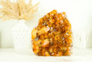 AAA Citrine Crystal Cluster with Large Shiny Orange Citrine Druzy, Self Standing - 1.7 Kg - 3.8 lb - E2D Crystals & Minerals