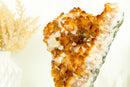 Gorgeous Natural Orange Citrine Flower Cluster with Citrine Crystal Druzy and Calcite, 10.5 In 7.5 Lb - E2D Crystals & Minerals